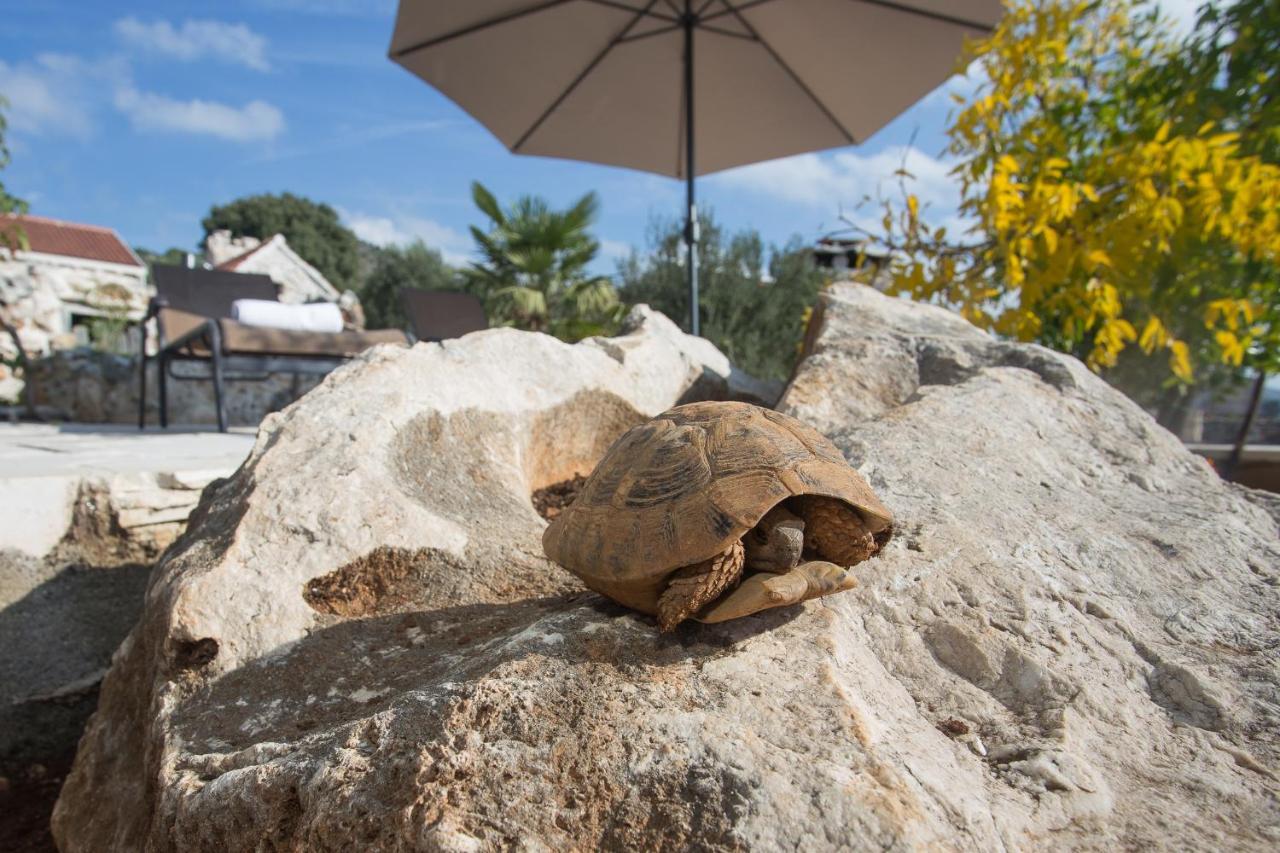 Stonehouse Marina Villa Vrsine ภายนอก รูปภาพ